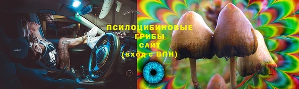 бошки Белокуриха